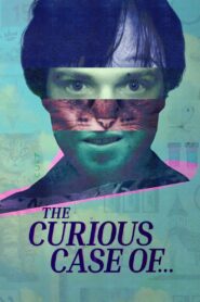 The Curious Case of…